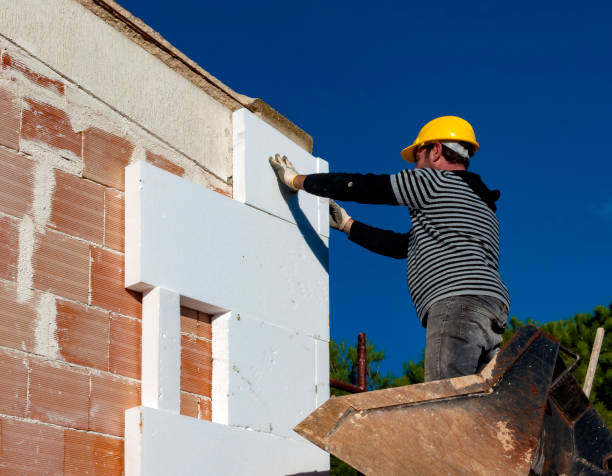 Best Specialized Insulation Services in Platte, SD