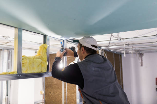 Best Spray Foam Insulation in Platte, SD