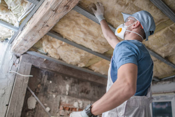 Best Commercial Insulation in Platte, SD