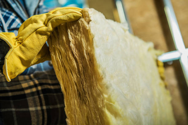 Best Eco-Friendly Insulation in Platte, SD