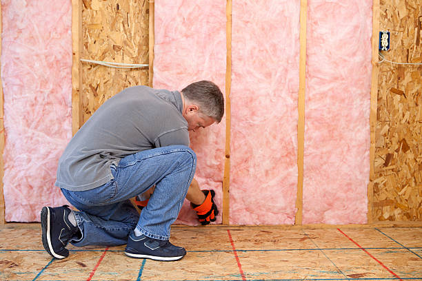 Best DIY Insulation Kits and Guidance in Platte, SD