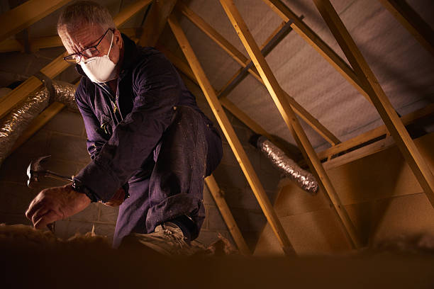 Best Energy Efficiency Insulation in Platte, SD